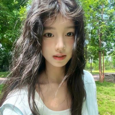 黑艳凤